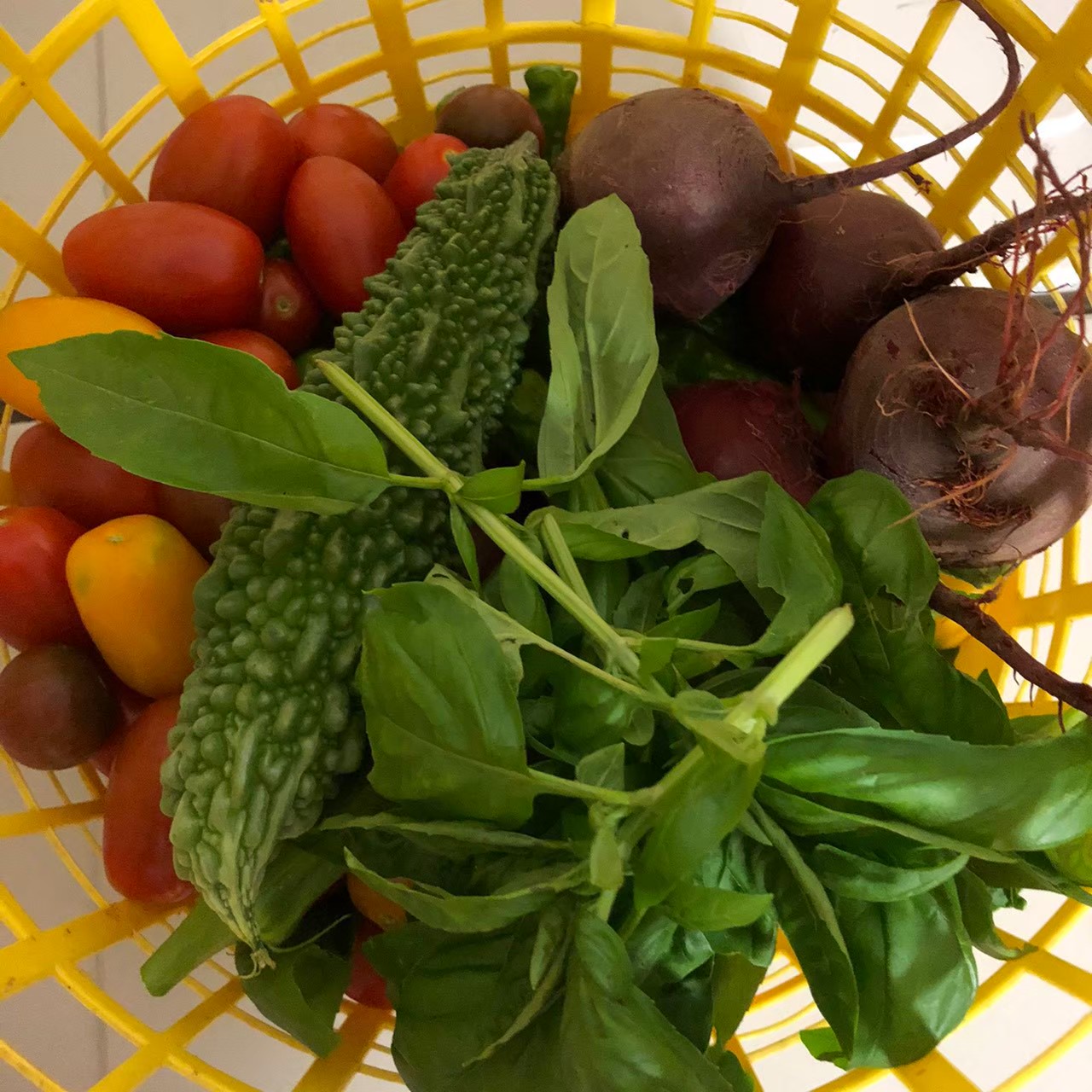 収穫された農産物